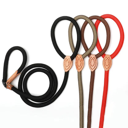 Heavy Duty Braided Rope Dog Leash - Slip Lead with Adjustable Loop Collar, Ideal for Training Medium and Large Dogs