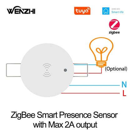 Zigbee & WiFi 24G Motion Sensor Switch – Smart Light Presence Detector with Brightness & Distance Radar, Tuya Smart Life Compatible