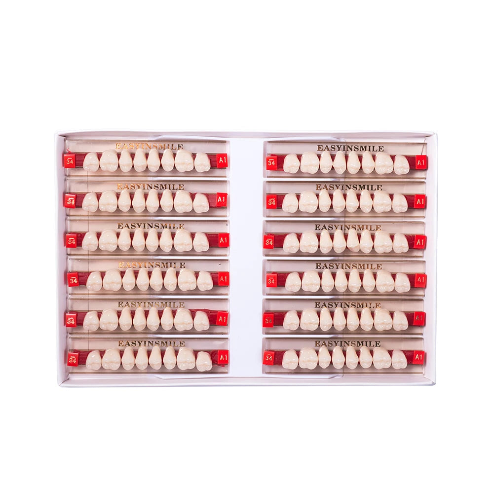 16/12 Set Dental Denture Teeth Model Kit, Upper & Lower Anterior Synthetic Polymer Teeth A2 A3 for Dental Education & Training