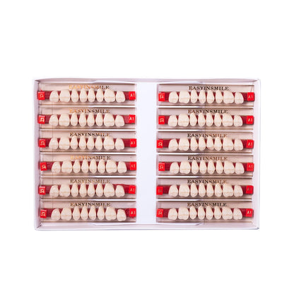 16/12 Set Dental Denture Teeth Model Kit, Upper & Lower Anterior Synthetic Polymer Teeth A2 A3 for Dental Education & Training