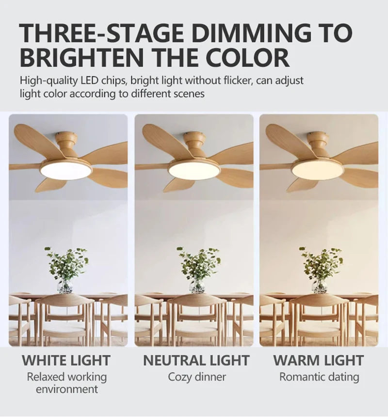 52-inch Modern LED Ceiling Fan — 60W Low Floor DC Motor, 35W Light, Remote Control, 110-220V