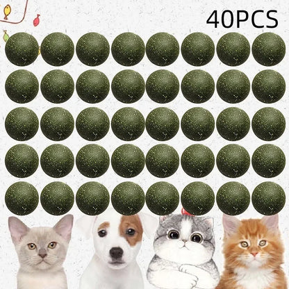50035614974259