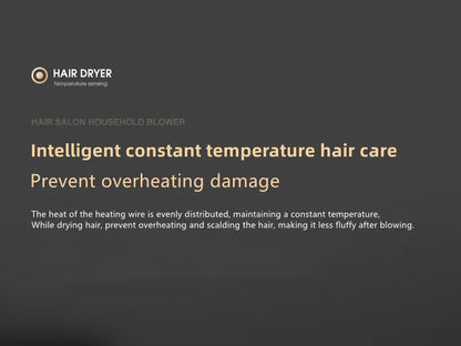 Professional Foldable Hair Dryer with Negative Ions & Blue Light – High Power Salon & Home Use