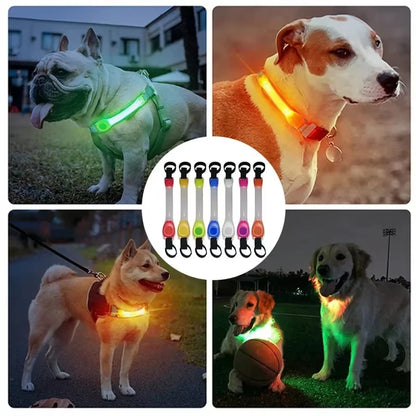 Pet LED Safety Traction Collar – Waterproof Anti-Loss Collar with Multi-Color Flashing Light Pendant for Outdoor Use