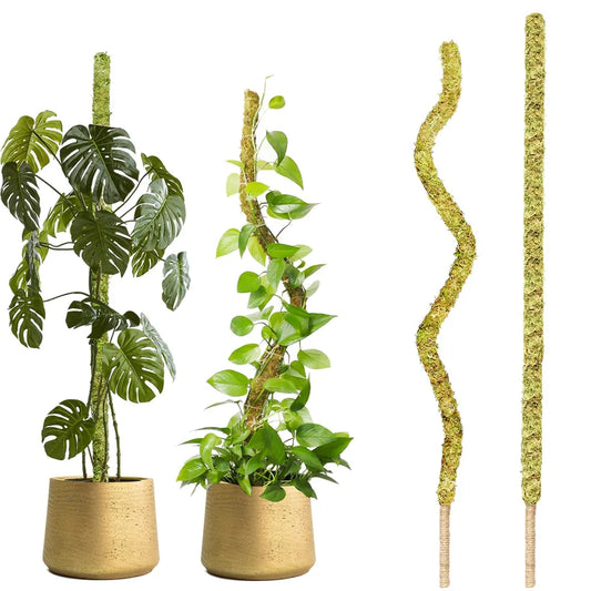 1PC Handmade Bendable Moss Pole for Monstera and Indoor Plants - Real Moss Plant Stakes for Climbing Support