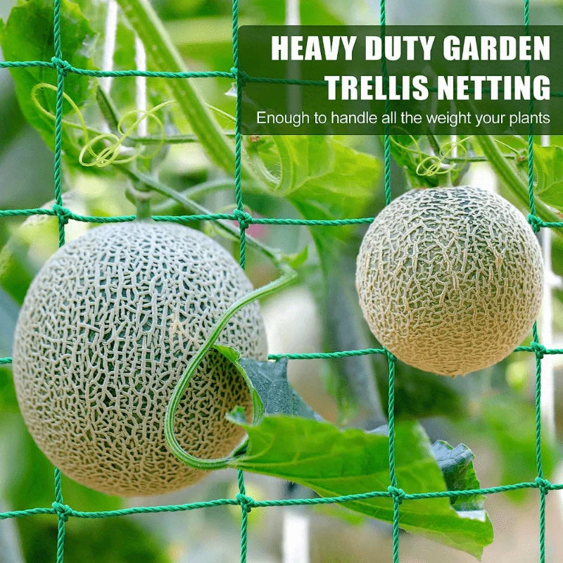Heavy Duty Garden Climbing Plant Support Net – Durable Nylon Trellis Mesh for Cucumbers, Tomatoes & Fruit Plants