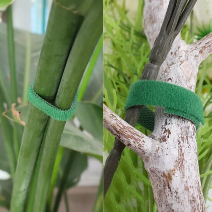 Reusable Self-Adhesive Plant Ties | Adjustable Green Nylon Garden Tape Strips for Plant Support