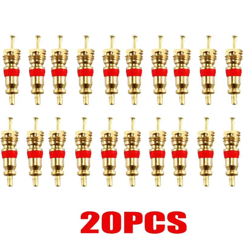 50553910100275