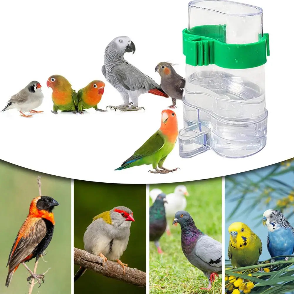 Automatic Bird Water Dispenser - Transparent Cage Drinking Feeder for Budgies, Cockatiels, Lovebirds & Canaries