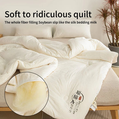 Raw Cotton & Soybean Quilt – Thickened Spring, Autumn & Winter Comforter
