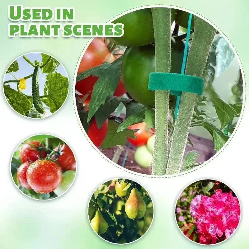Reusable Self-Adhesive Plant Ties | Adjustable Green Nylon Garden Tape Strips for Plant Support