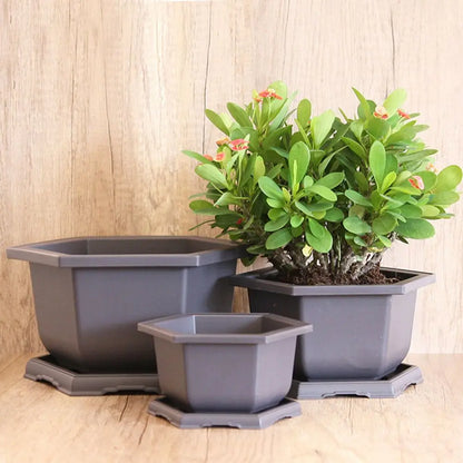 Hexagon Flower Pots – Succulent Box Planter, Plant Container for Home & Office Decor