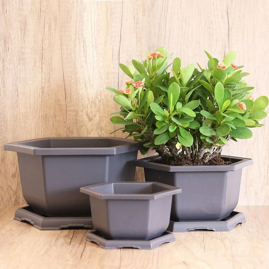 Hexagon Flower Pots – Succulent Box Planter, Plant Container for Home & Office Decor