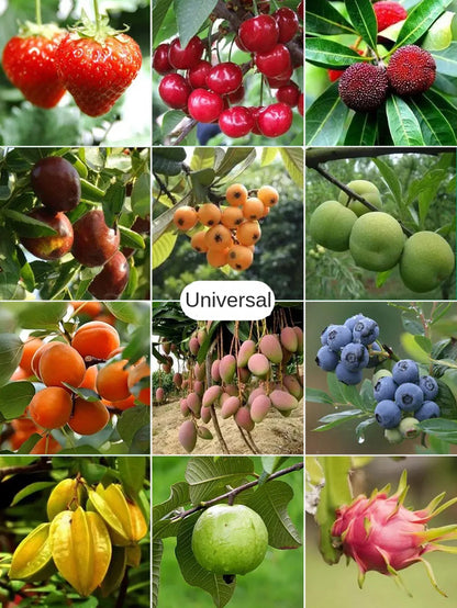 100 Fruit Protection Bags - Pest Control, Anti-Bird Garden Netting, Strawberry & Grapes Mesh Bags, Plant & Vegetable Grow Bags