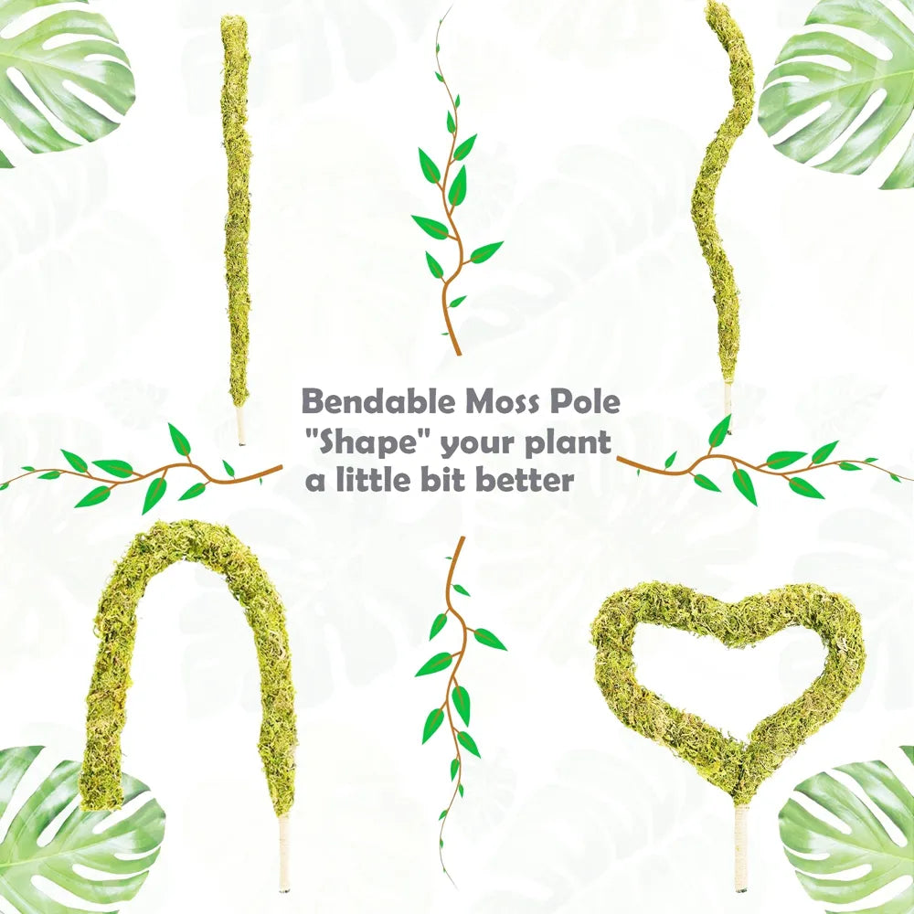 1PC Handmade Bendable Moss Pole for Monstera and Indoor Plants - Real Moss Plant Stakes for Climbing Support