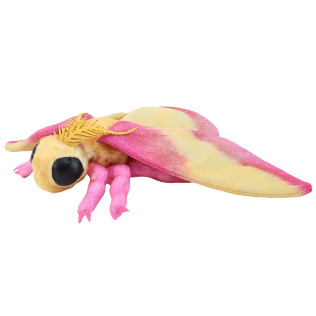 Luna Moth & Rosy Maple Moth Plush - Soft Realistic Insect Stuffed Animal Gift
