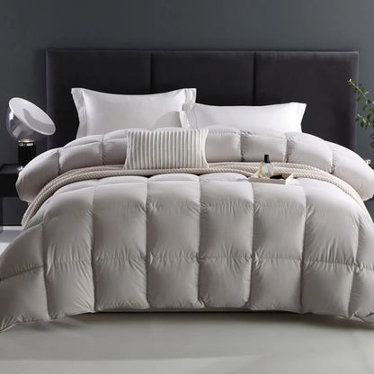 Winter Cotton Goose Down Quilt – Super Soft Fluffy Duvet for Queen & King Size, Four Seasons Blanket 220x240