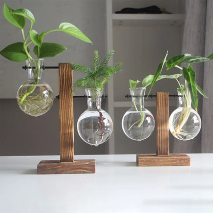 Glass Bulb Planter Vase - Wooden Stand Hydroponic Desktop Decor