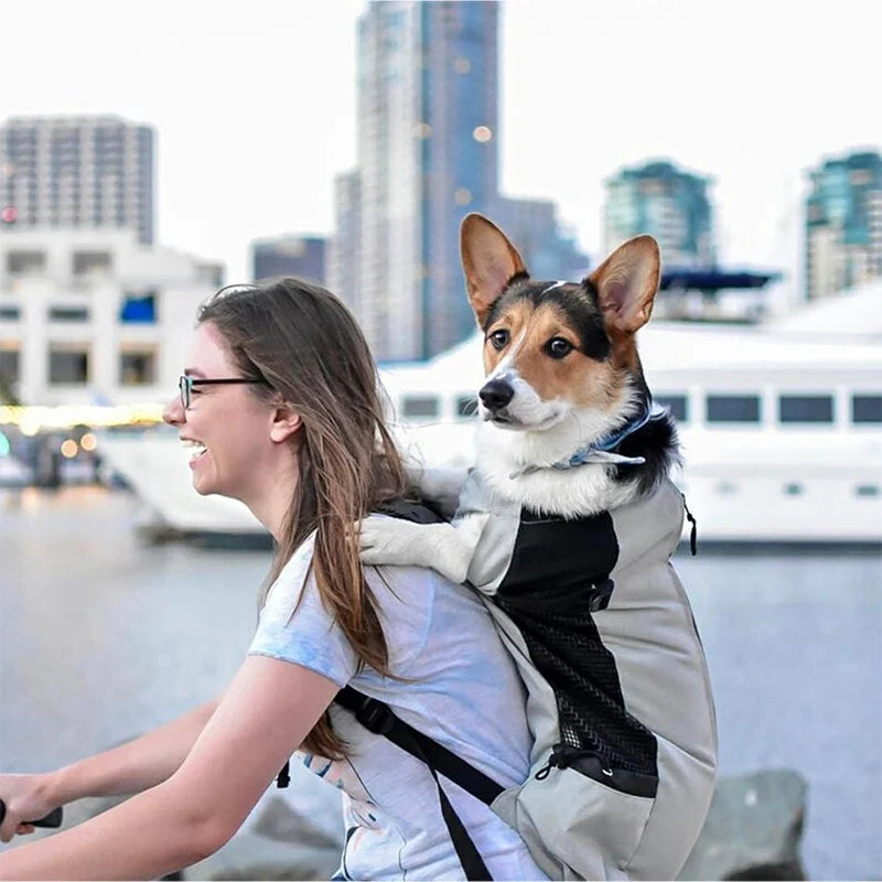 Strong Nylon Dog Carrier Backpack – Breathable Pet Travel Bag for Small & Medium Dogs, Outdoor Cycling Pet Supplies
