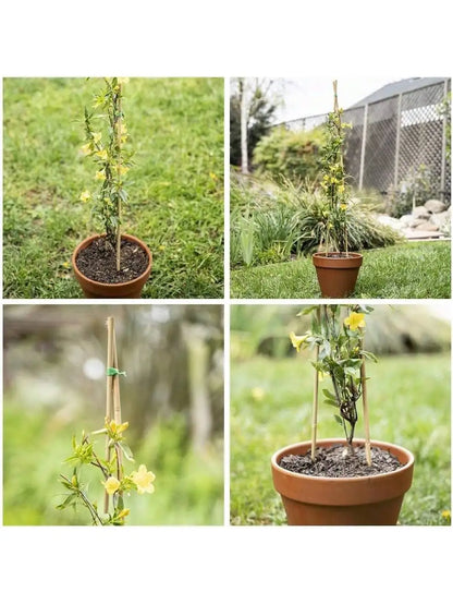 20pcs Eco-Friendly Bamboo Garden Stakes – Wooden Plant Supports for Climbing Plants and Gardening