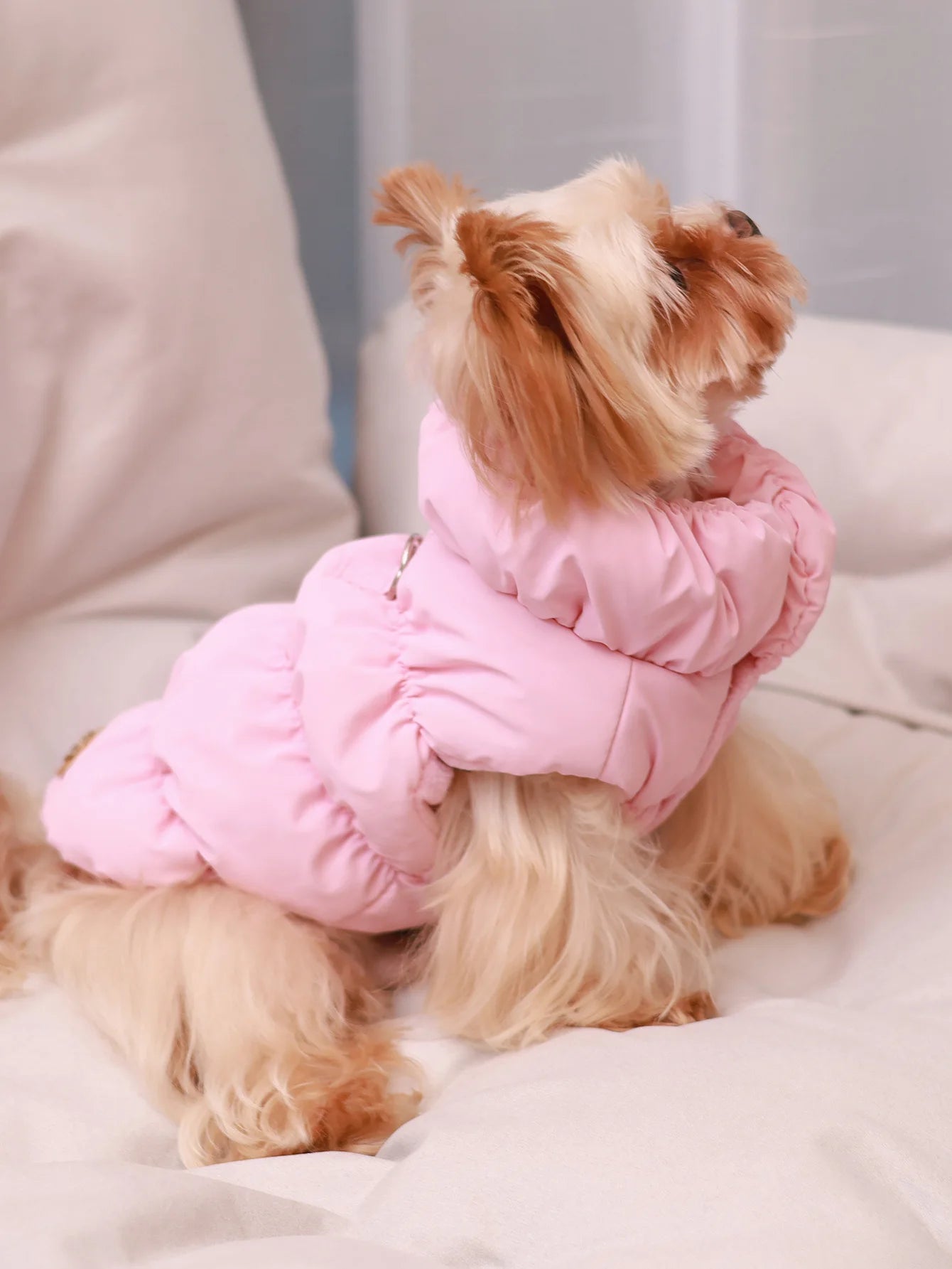 Dog Jacket for Autumn/Winter - 3-Layer Thick Warm Pet Coat for Small to Medium Dogs
