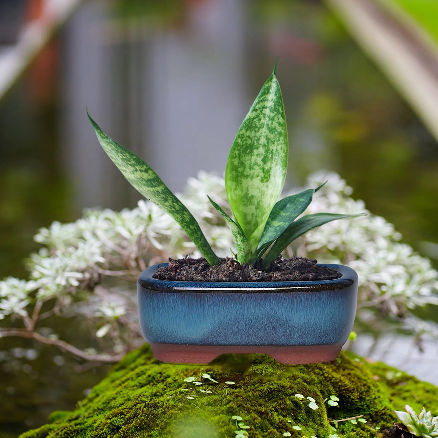 Ceramic Flower Pots with Drain Hole – Vent Design for Easy Indoor and Outdoor Planting