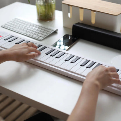 61 Key Foldable Electronic Piano Keyboard, Multifunctional with LED Display & Built-in Battery, Digital Piano