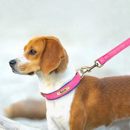 Customized Leather Dog Collar & Leash Set – Soft Padded Adjustable Collar for Small, Medium & Large Dogs with Engraved Nameplate