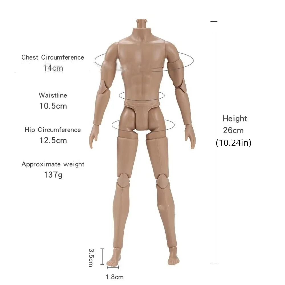 1/6 Male Action Figure Doll — 35cm Multi-Joint Strong Man Body with 13 Joints DIY Toy (White/Normal/Tan)