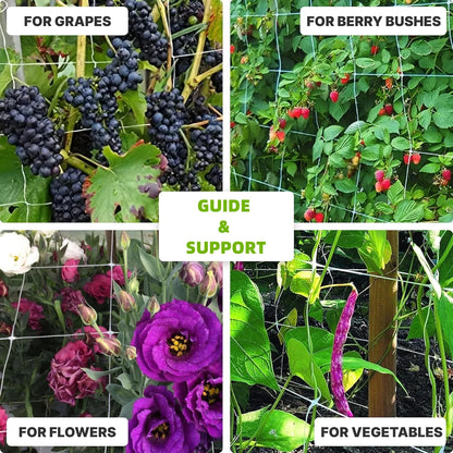 Plant Trellis Netting - Heavy Duty PP Climbing Support Mesh for Vertical Garden & Hydroponic Growing