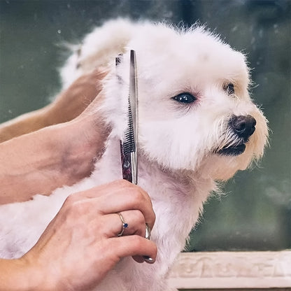 Dog Grooming Scissors Kit - Professional Pet Cleaning & Grooming Set with Safety Round Tip Stainless Steel Shears for Dogs & Cats