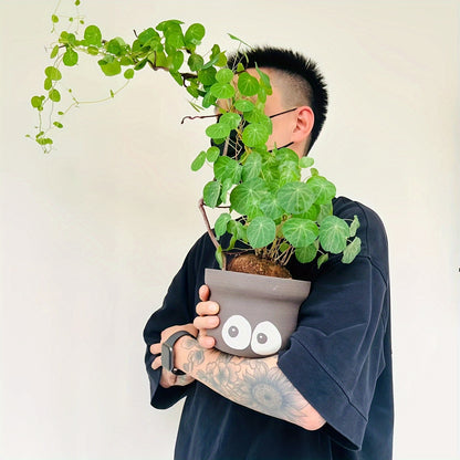 Dried Rattan Plant - Sacred Prayer Plant for Home Decoration, Brings Good Luck and Prosperity, Evergreen All Year Round