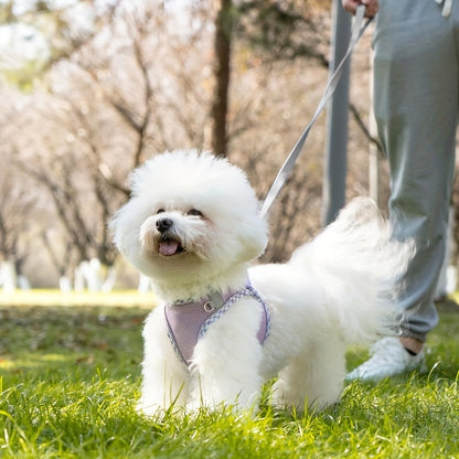 Breathable Pet Harness – No Pull Puppy Harness & Leash Set, Easy Walk Dog Harness for Comfortable Walking